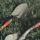 Cat Łopata j-series d-handle round point - 1604205 - zdjęcie 3